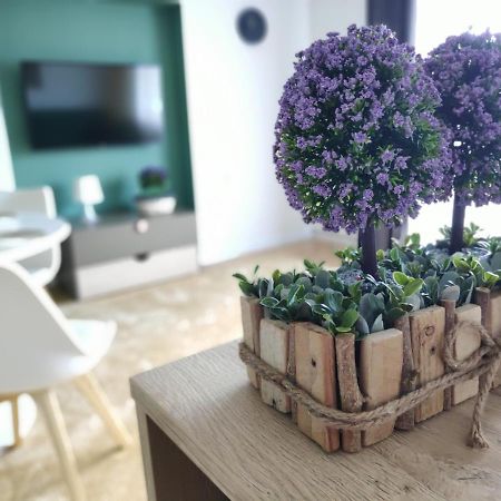 Apartament Karpaty Krynica-Zdrój Exteriér fotografie