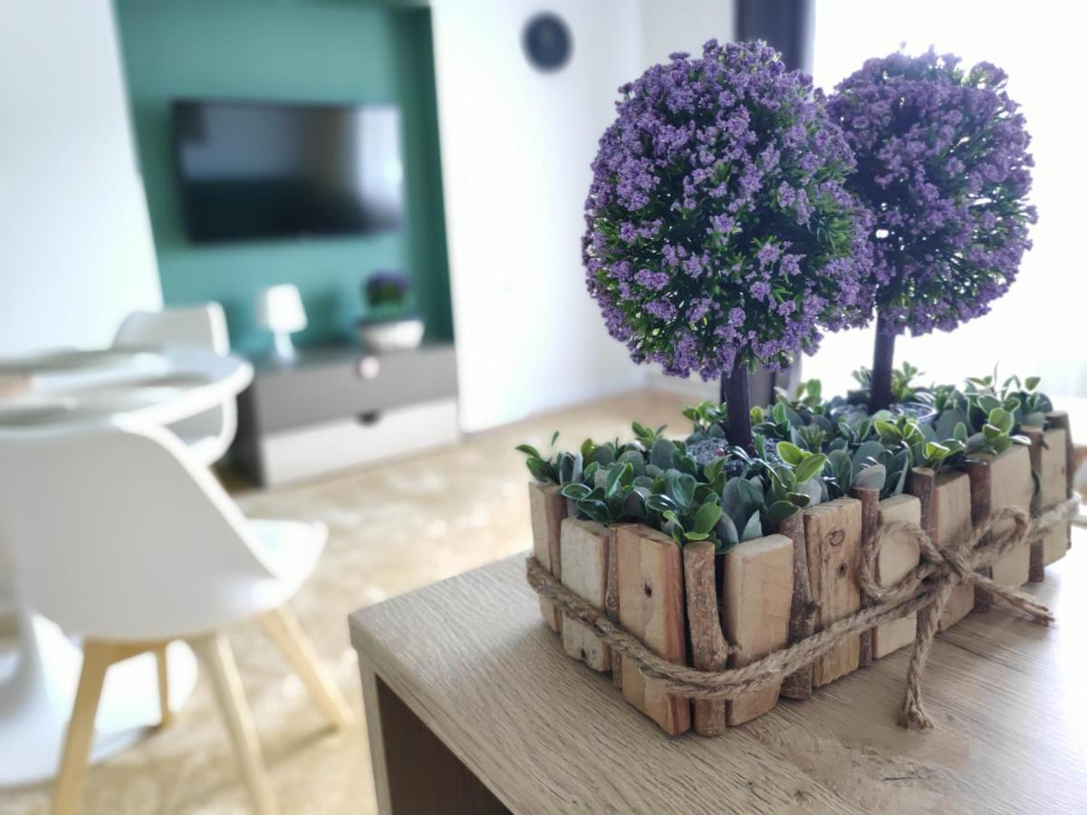 Apartament Karpaty Krynica-Zdrój Exteriér fotografie